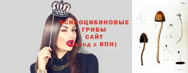 прущие крисы Нефтегорск