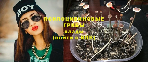 прущие крисы Нефтегорск