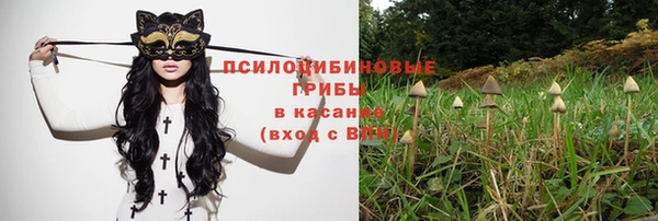 прущие крисы Нефтегорск