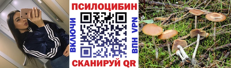даркнет сайт  Североморск  Псилоцибиновые грибы мицелий 