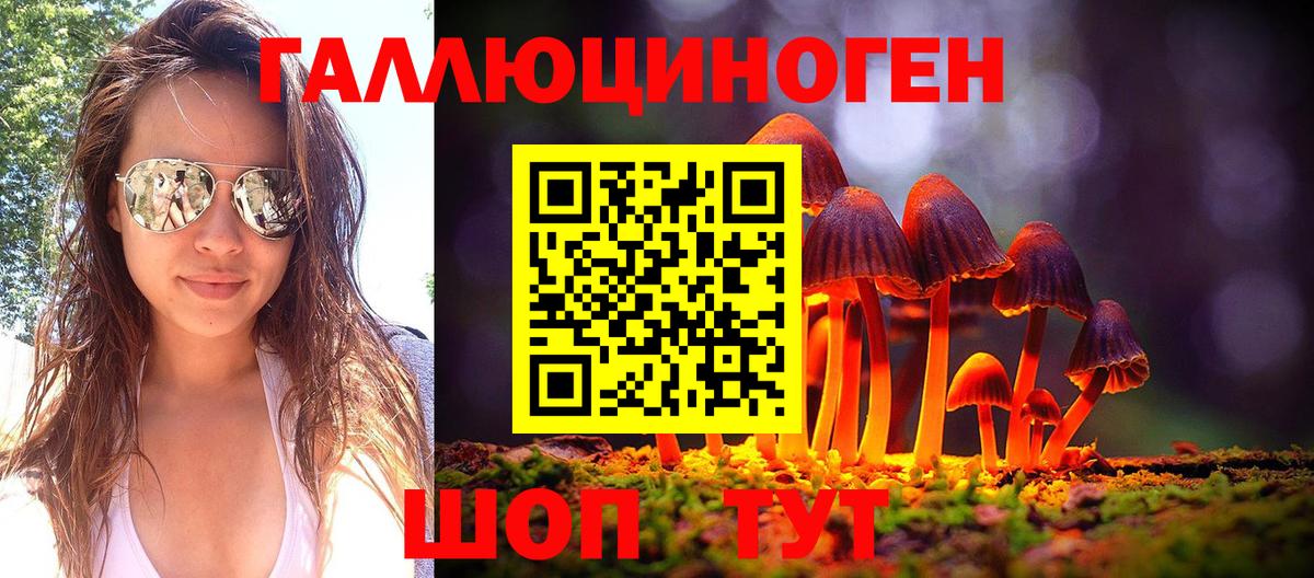 Североморск  Псилоцибиновые грибы Psilocybine cubensis  Вход с VPN 