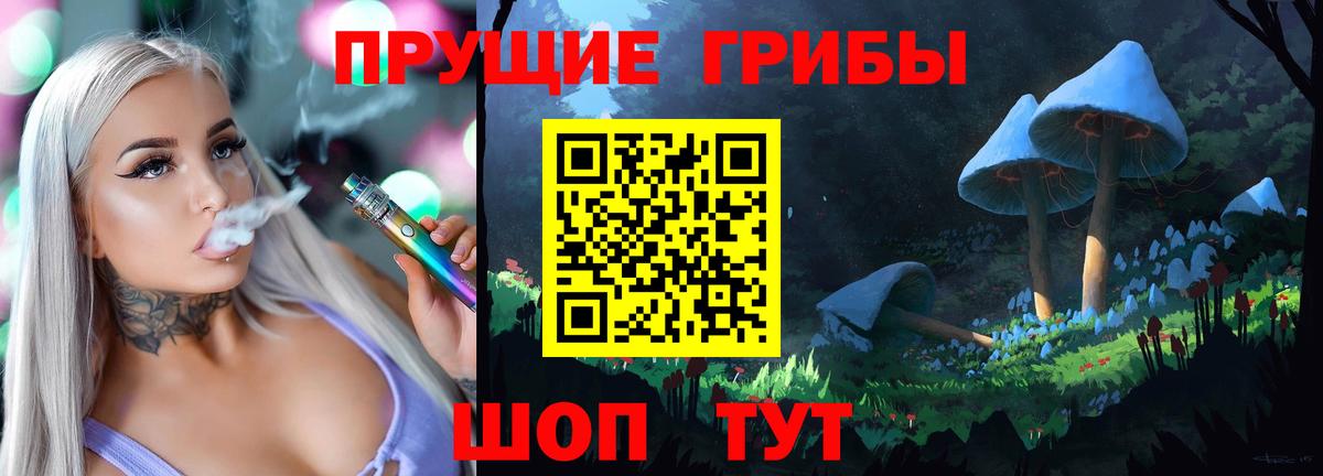 Галлюциногенные грибы Psilocybine cubensis Североморск